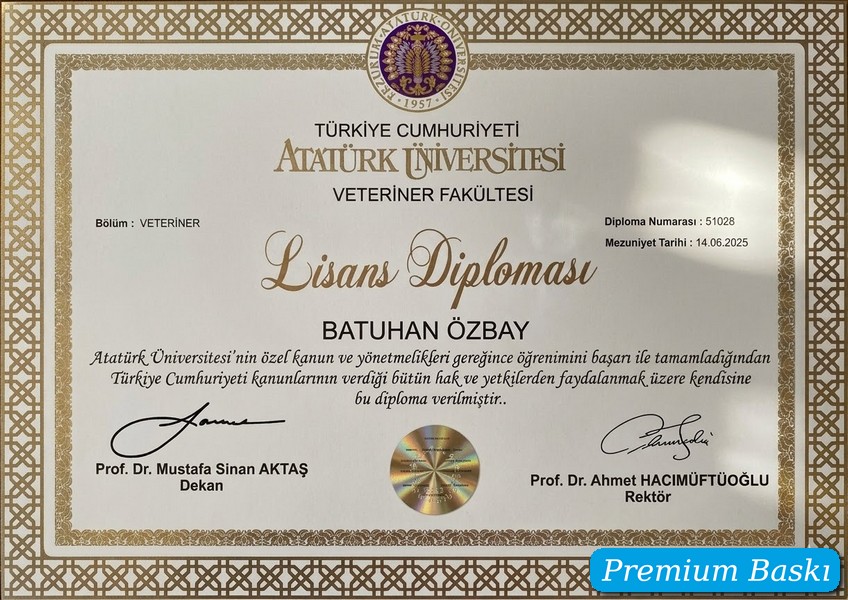 Diploma örneği 5